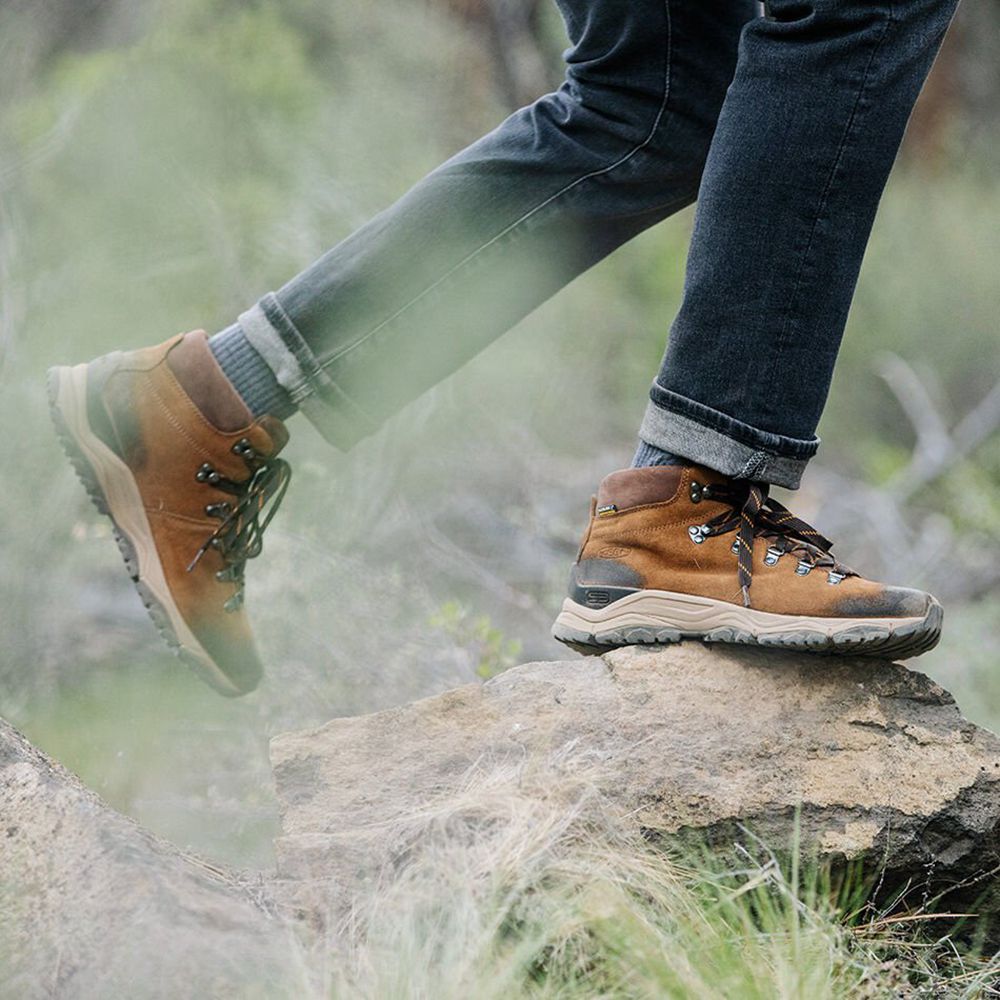 Bottes de Randonnée Keen Homme Marron | Feldberg Apx Waterproof | IESPX-1923